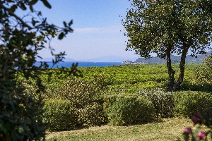 Hotel RESIDENCE PARK SOLEMAREMMA wakacje