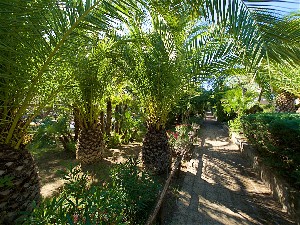 Hotel RESIDENCE PARK SOLEMAREMMA wakacje