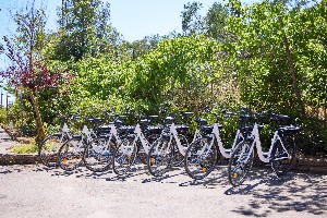 Hotel COSTA D´ARGENTO CAMPING VILLAGE HC wakacje