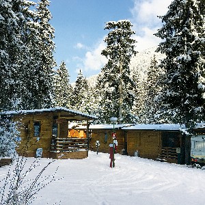 Hotel CAMPING VILLAGE BOSCOBLÚ wakacje