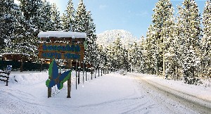 Hotel CAMPING VILLAGE BOSCOBLÚ wakacje