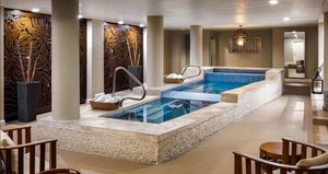 Spa and wellness