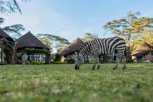 Hotel EXIMdiscovery: Afrykańska Odyseja – Mombasa, Mara, Naivasha wakacje
