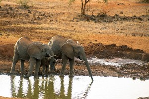 Hotel EXIMdiscovery - Czerwona Ziemia i Mgły Kilimandżaro wakacje