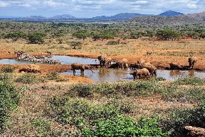 Hotel EXIMdiscovery - Czerwona Ziemia i Mgły Kilimandżaro wakacje