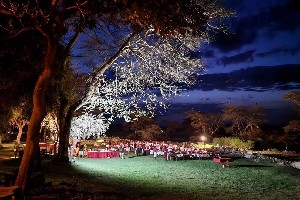 Hotel EXIMdiscovery - Czerwona Ziemia i Mgły Kilimandżaro wakacje