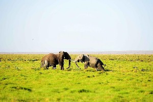 Hotel EXIMdiscovery - Czerwona Ziemia i Mgły Kilimandżaro wakacje