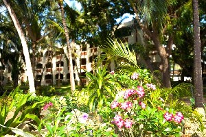 Hotel SEVERIN SEA LODGE wakacje