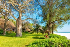 Hotel NOMAD BEACH RESORT wakacje