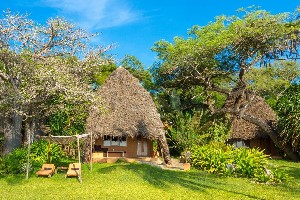 Hotel THE SANDS AT NOMAD wakacje