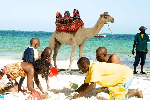 Hotel VOYAGER BEACH RESORT wakacje