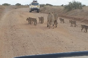 Hotel Fotograficzne Safari Tsavo East - wypoczynek i safari wakacje