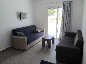 Apartment Leaving Room