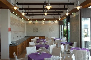 Hotel SENATOR HOTEL APARTMENTS wakacje