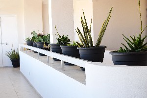 Interior miscellaneous