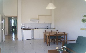 Apartment Leaving/kitchen area