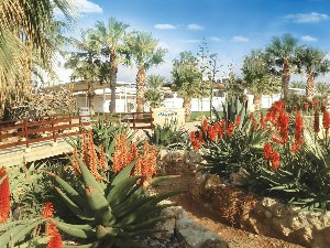 Hotel AKTI BEACH HOTEL AND VILLAGE RESORT wakacje