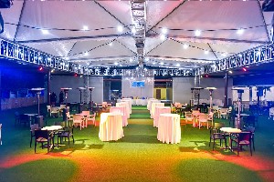 Hotel ALIATHON AEGEAN wakacje