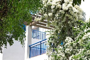 Hotel ALIATHON AEGEAN wakacje