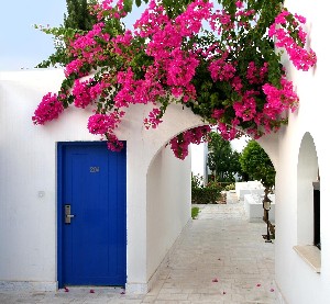 Hotel ALIATHON AEGEAN wakacje