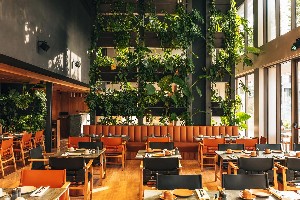 Hotel M BOUTIQUE HOTEL (EX DAPHNE) ADULTS ONLY wakacje