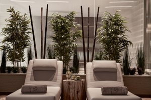 Spa and wellness