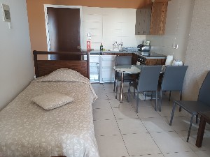 1Bedroom Apt Living Room