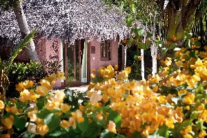 Hotel RAVINTSARA WELLNESS HOTEL wakacje