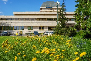 Hotel ENSANA THERMAL MARGARET ISLAND wakacje