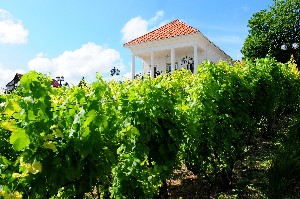 Hotel ZENIT BALATON wakacje
