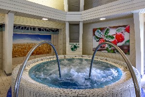 Hotel ENSANA THERMAL HEVIZ HEALTH SPA wakacje