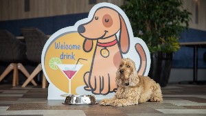 Hotel GOTTHARD THERME HOTEL & CONFERENCE wakacje