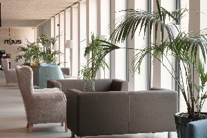 Hotel MJUS RESORT & THERMAL PARK wakacje