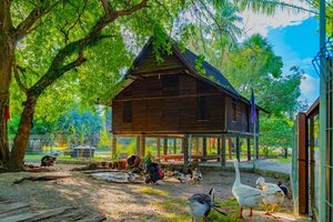 Hotel PELANGI BEACH RESORT & SPA wakacje