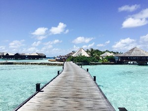 Hotel LILY BEACH RESORT & SPA wakacje