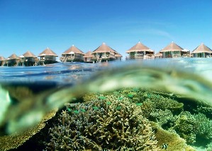 Hotel SAFARI ISLAND RESORT & SPA wakacje