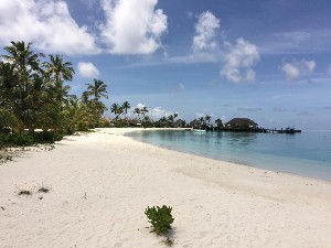 Hotel SAFARI ISLAND RESORT & SPA wakacje