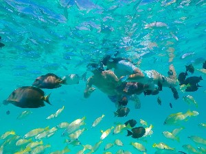 Hotel VELIGANDU MALDIVES RESORT ISLAND wakacje