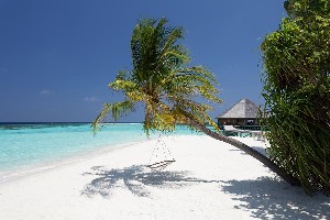 Hotel VILAMENDHOO ISLAND RESORT & SPA wakacje