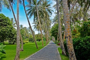 Hotel VILLA PARK (EX. SUN ISLAND) wakacje