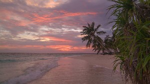 Hotel COCO PALM DHUNI KOLHU wakacje