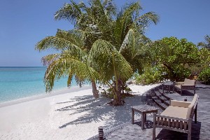Hotel COCO PALM DHUNI KOLHU wakacje