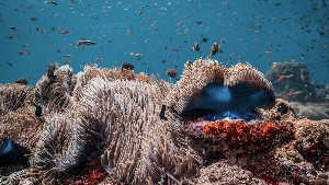 Hotel COCO PALM DHUNI KOLHU wakacje