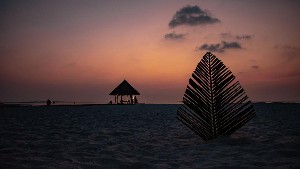 Hotel COCO PALM DHUNI KOLHU wakacje