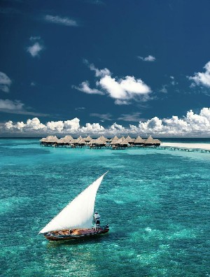 Hotel COCO PALM DHUNI KOLHU wakacje