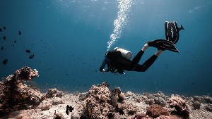 Hotel COCO PALM DHUNI KOLHU wakacje