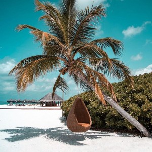 Hotel COCO PALM DHUNI KOLHU wakacje