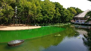 Hotel DREAMLAND THE UNIQUE SEA & LAKE RESORT wakacje