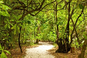 Hotel REETHI BEACH RESORT MALDIVES wakacje