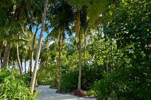 Hotel KANDIMA MALDIVES wakacje